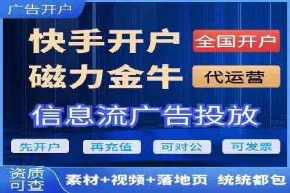 成功SEM推广代运营案例分享
